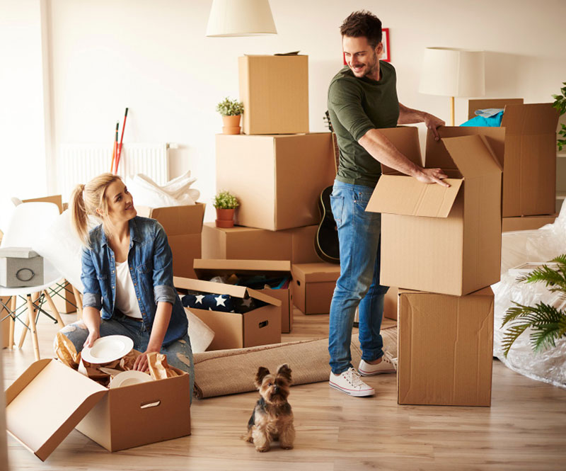 dispatcher in chicago for owner operators